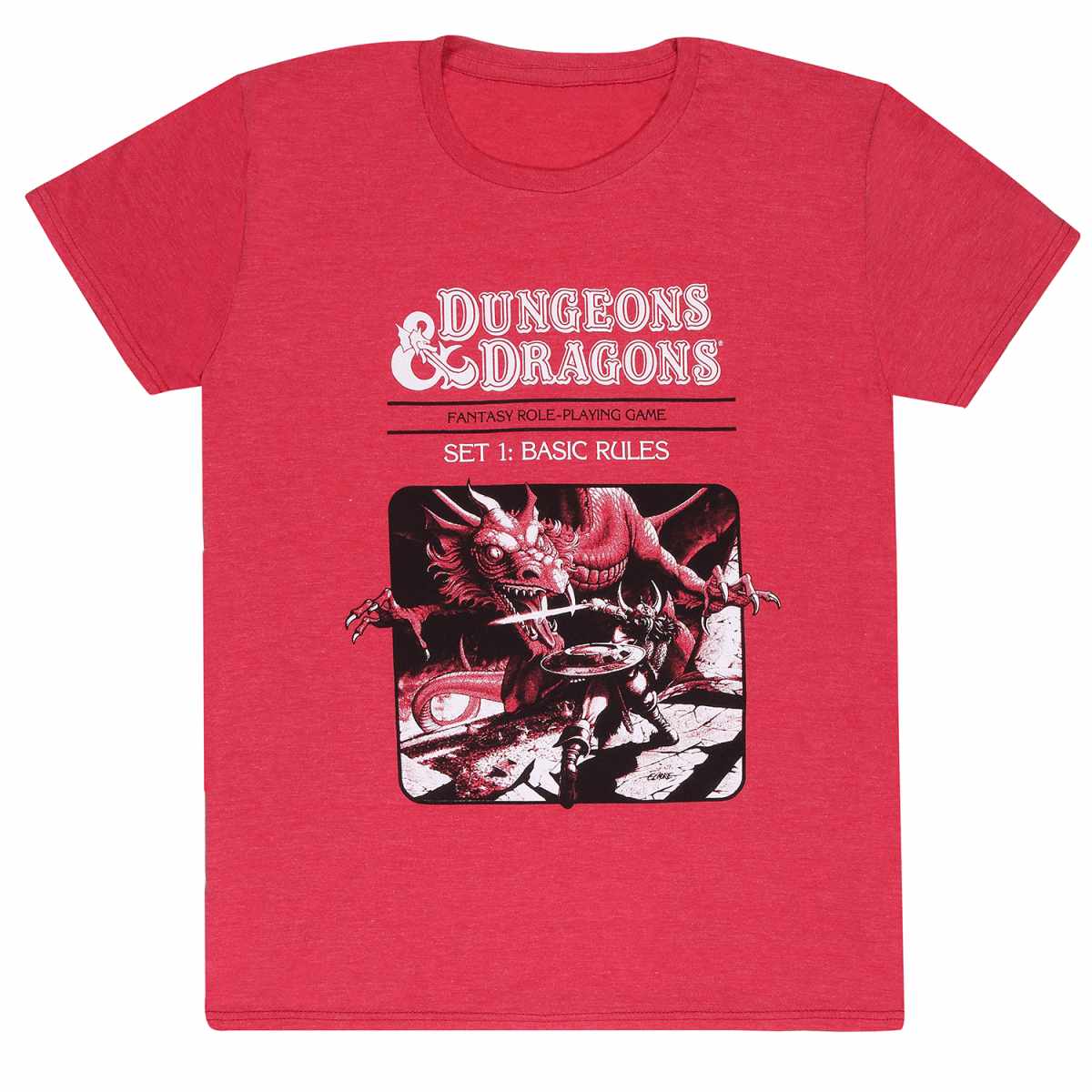 Dungeons And Dragons / D&D /DND – Dragon Slayer T-Shirt