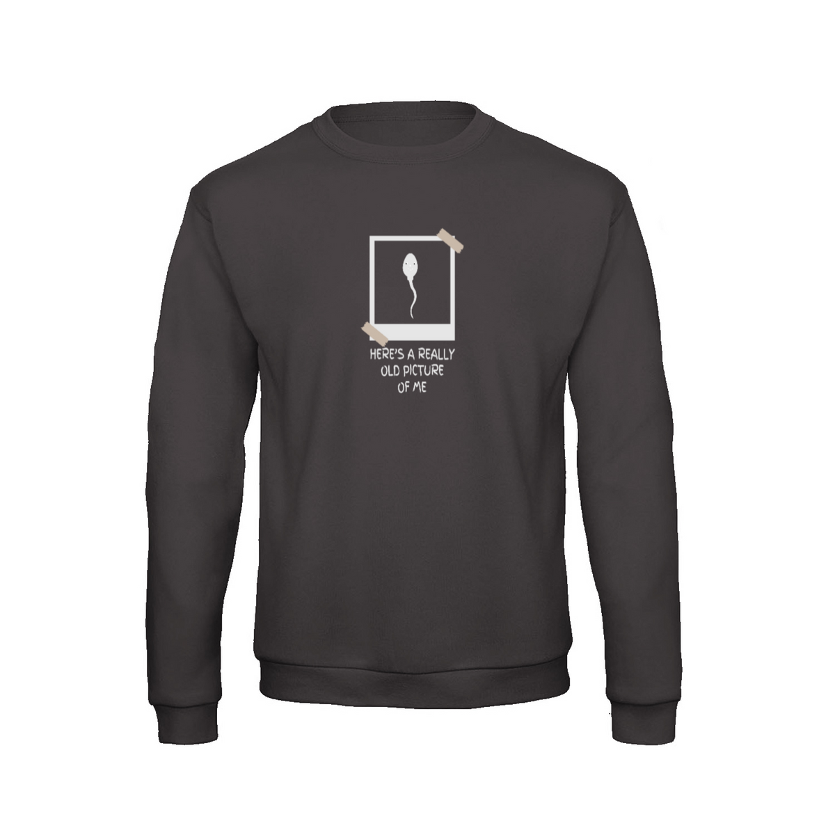Old Picture Of Me sweatshirt – Sjovt statement – produktbillede 5