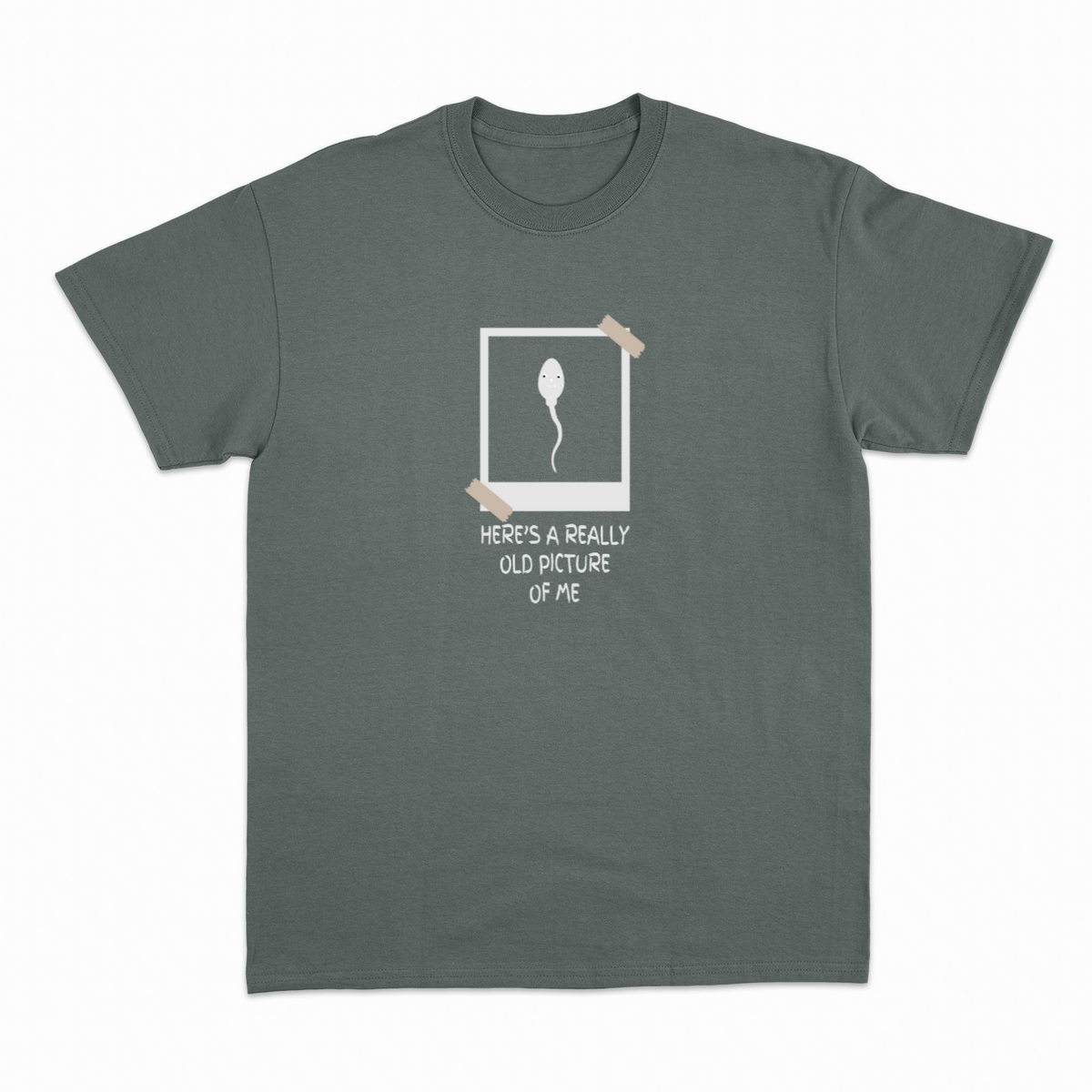 Old Picture of Me T-shirt – Sjov statement T-shirt – produktbillede 12
