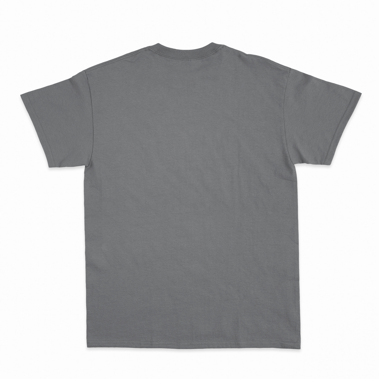 SIDEKICK - Heavier fabric t-shirt