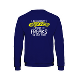 Unsupervised sweatshirt – Sjovt statement