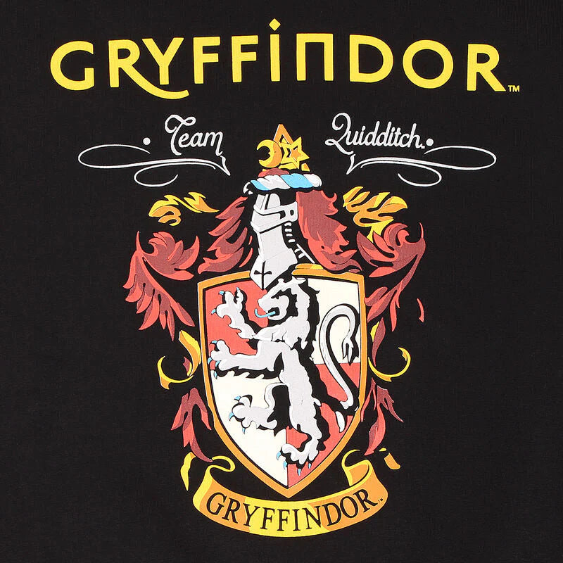 GRYFFINDORS - Harry Potter hoodie